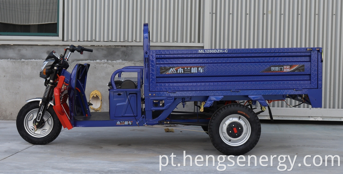 Cargo Electric Tricycle